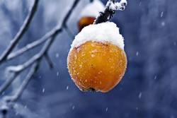 Kalt? Nass? Wetterfrust!