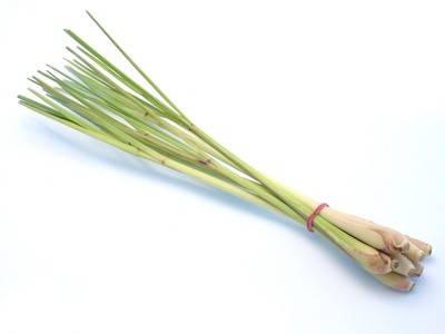 Zitronengras