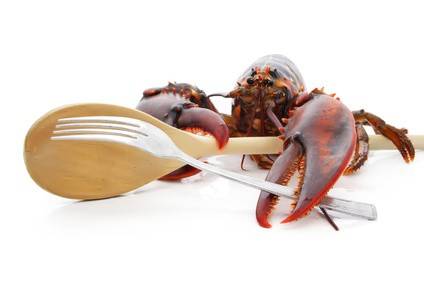 Wie koche ich Meeresfrüchte?